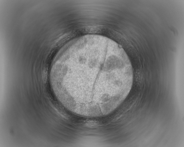 X0000113000741200909241301