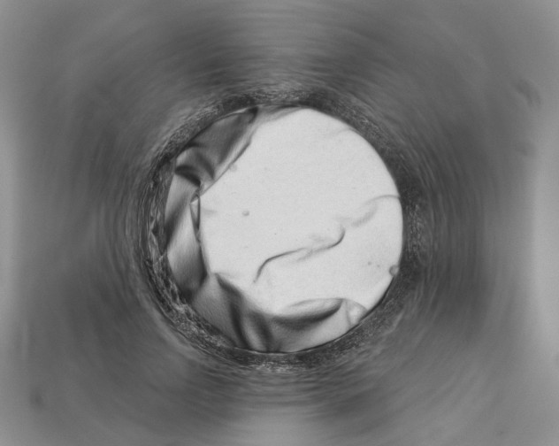 X0000113000742200909241301