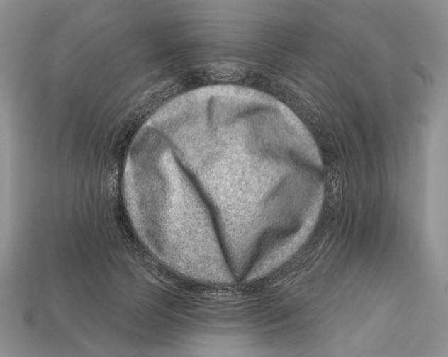 X0000113000745200909241301