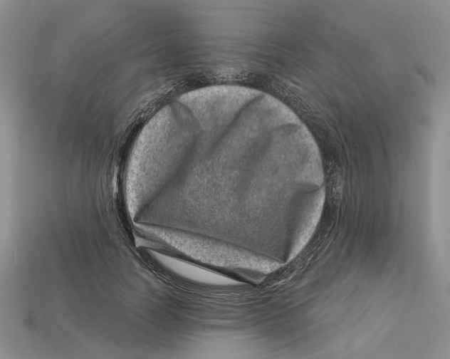 X0000113000746200909241301