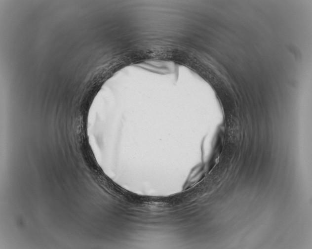 X0000113000748200909241301