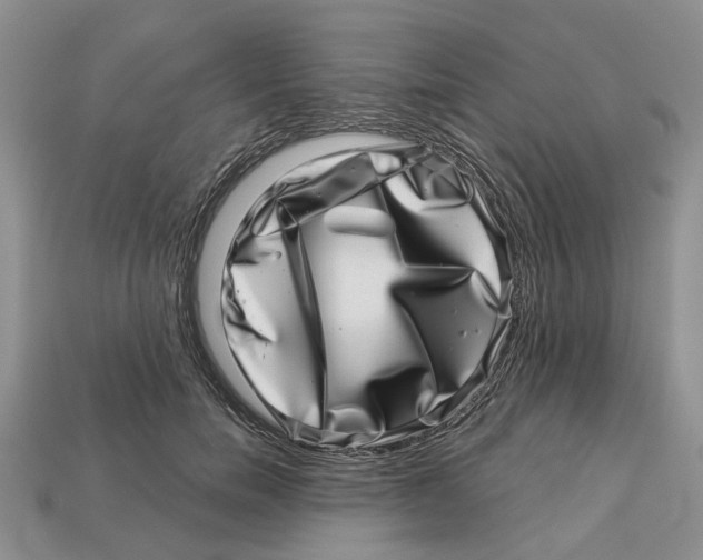 X0000113000750200909241301