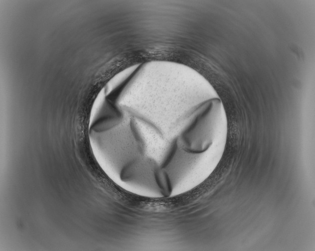 X0000113000751200909241301