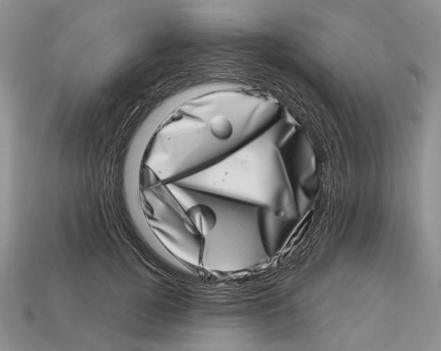 X0000113000752200909241301