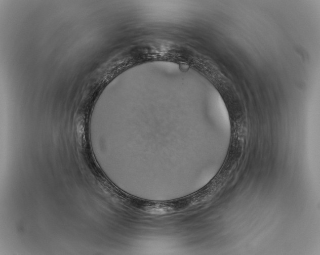 X0000113000754200909241301