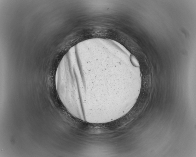 X0000113000755200909241301