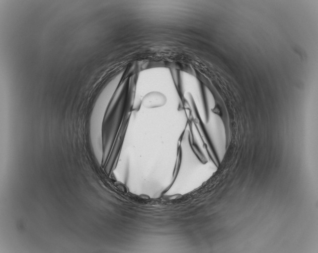 X0000113000756200909241301