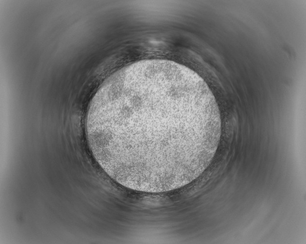 X0000113000757200909241301