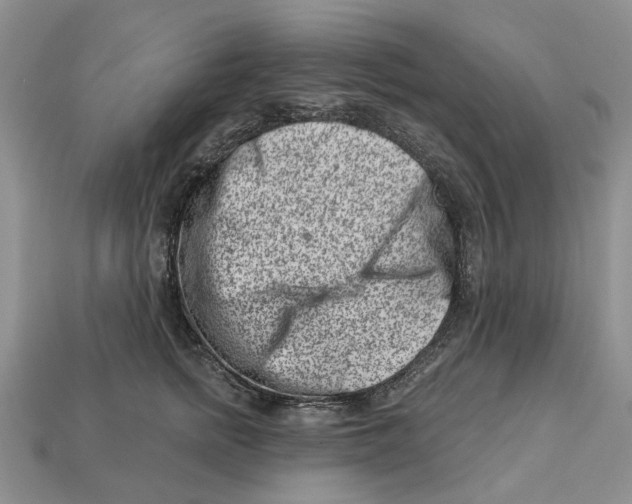 X0000113000758200909241301