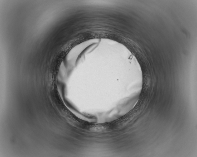 X0000113000759200909241301