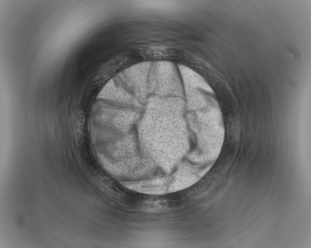 X0000113000760200909241301