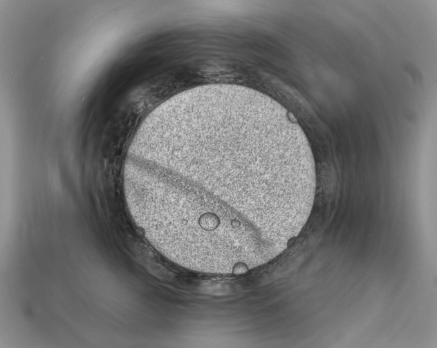 X0000113000761200909241301