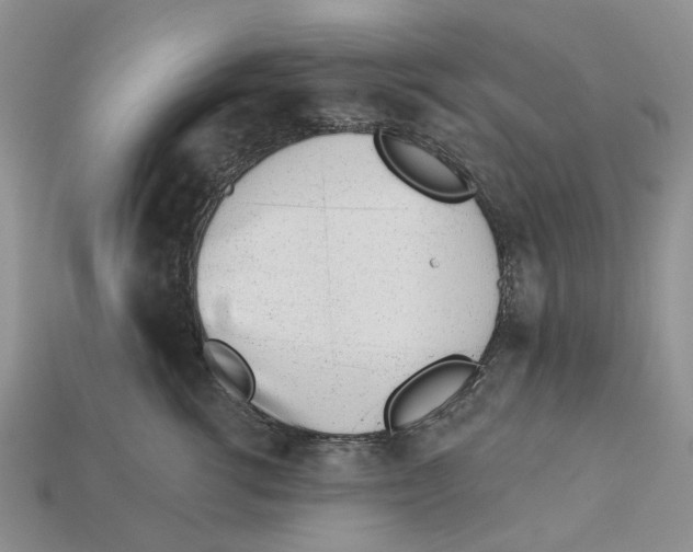 X0000113000762200909241301