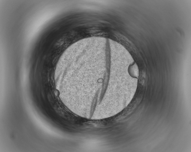 X0000113000763200909241301