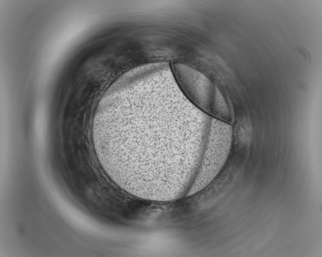 X0000113000764200909241301