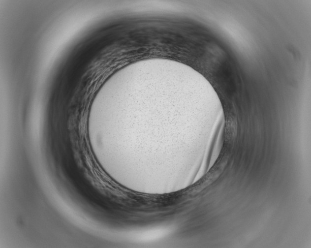 X0000113000765200909241301