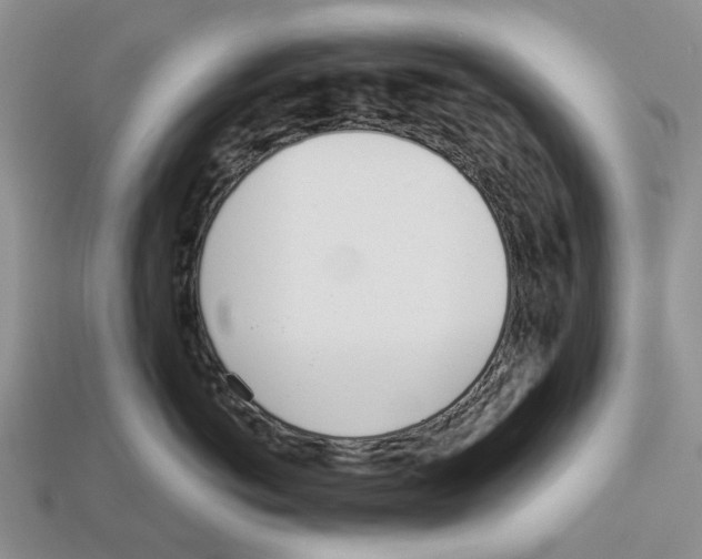 X0000113000766200909241301