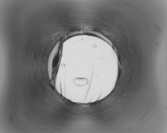 X0000113000768200909241301