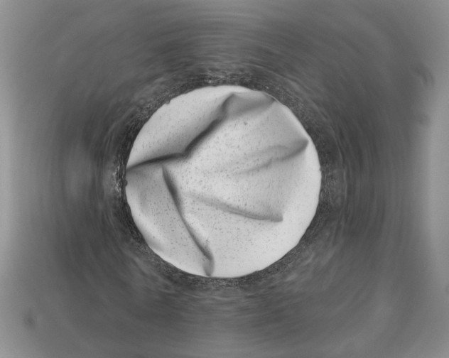 X0000113000770200909241301