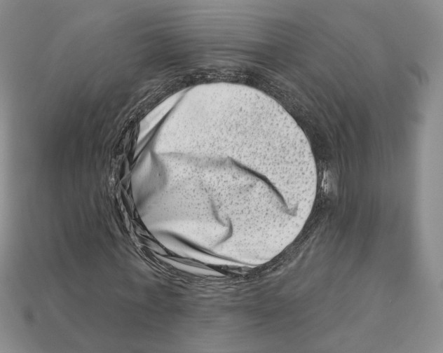 X0000113000771200909241300