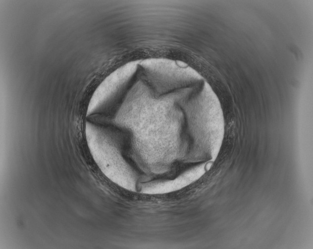 X0000113000772200909241300