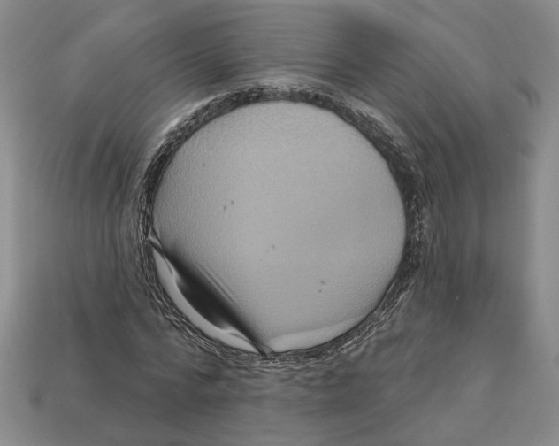 X0000113000776200909241300