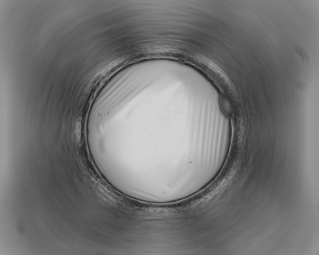 X0000113000777200909241300