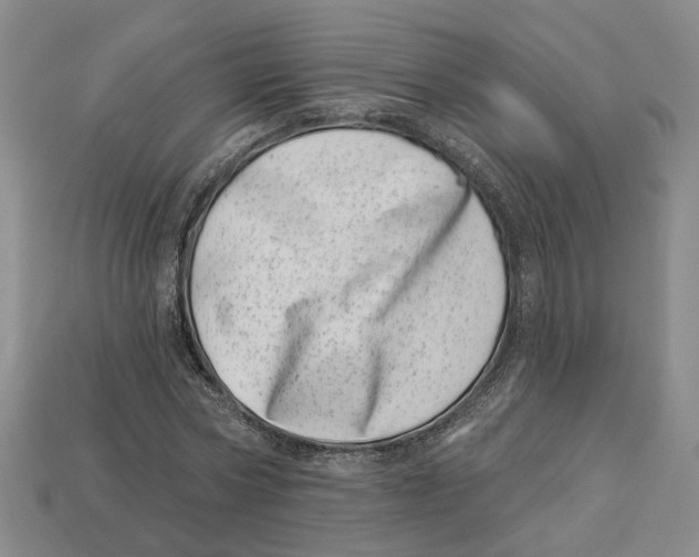 X0000113000778200909241300