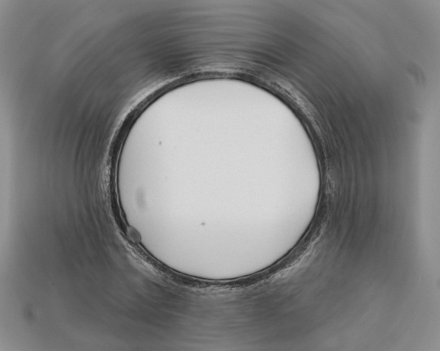 X0000113000779200909241300