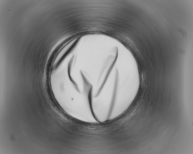 X0000113000780200909241300