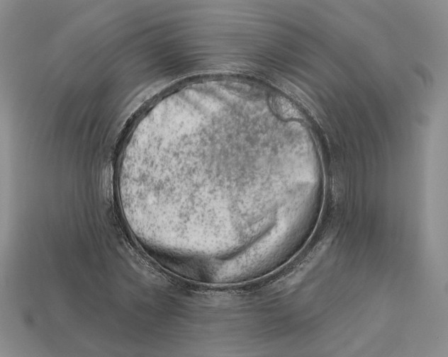 X0000113000781200909241300