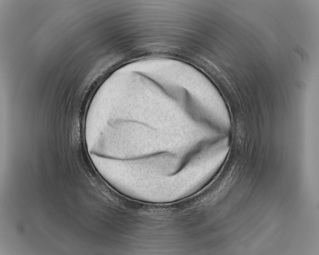 X0000113000782200909241300