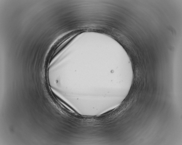 X0000113000784200909241300