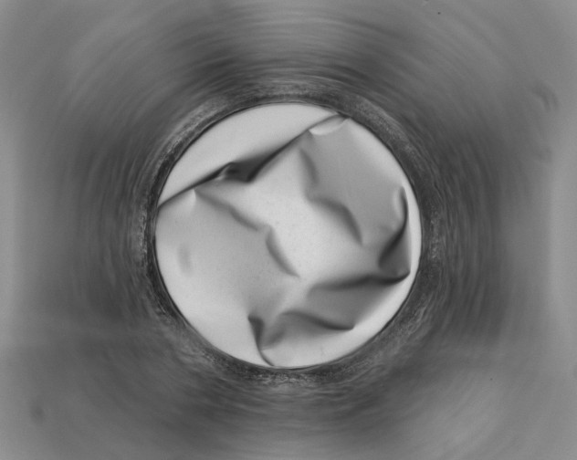 X0000113000786200909241300