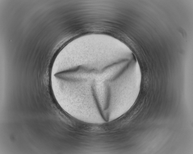 X0000113000787200909241300