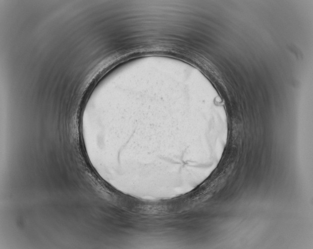 X0000113000789200909241300