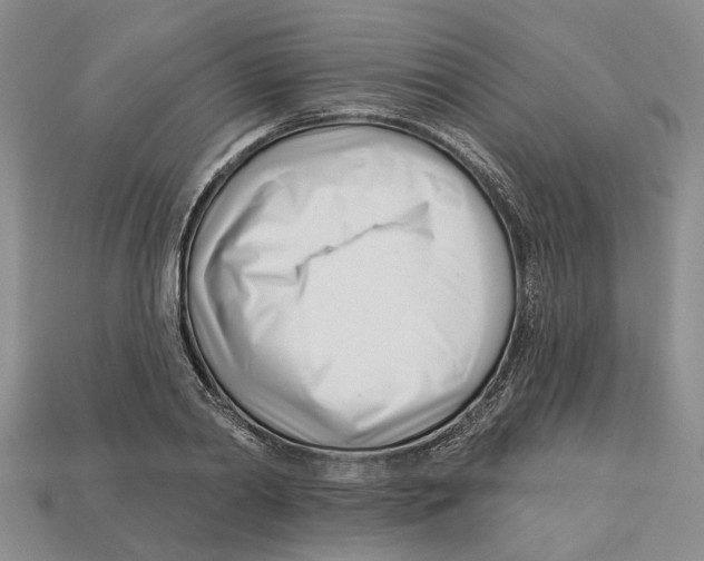 X0000113000790200909241300