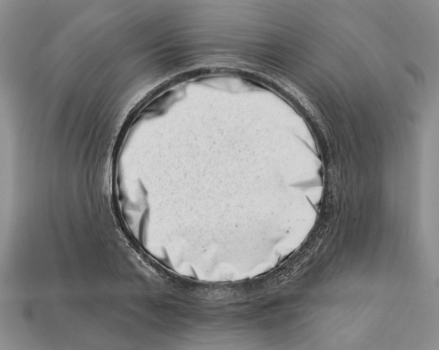 X0000113000791200909241300