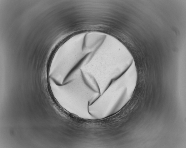 X0000113000792200909241300