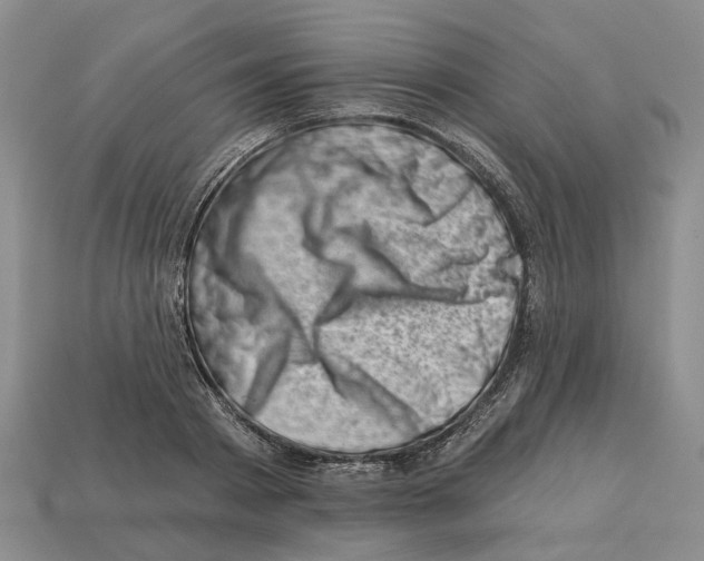 X0000113000793200909241300