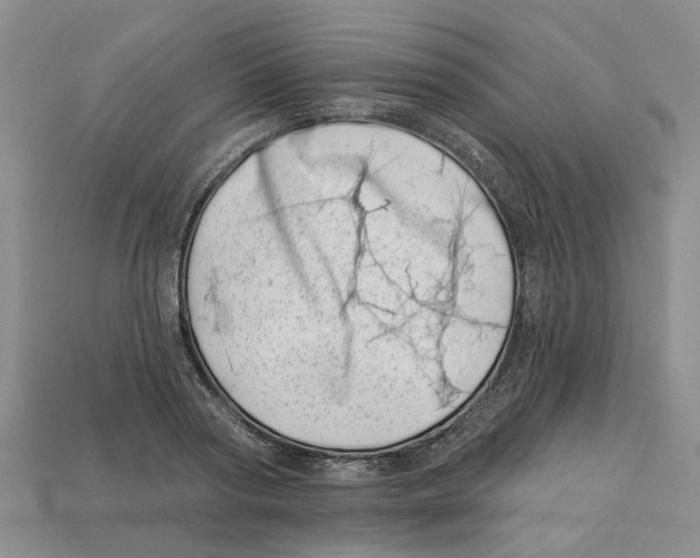 X0000113000794200909241300