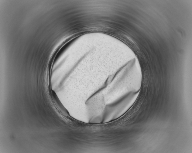 X0000113000796200909241300