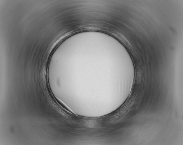 X0000113000798200909241300