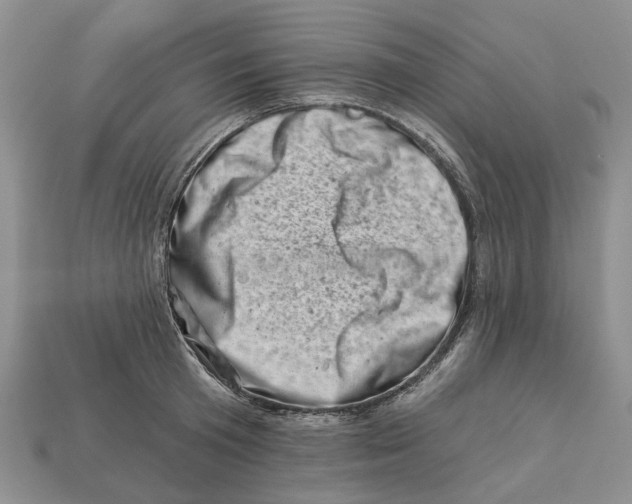 X0000113000801200909241300