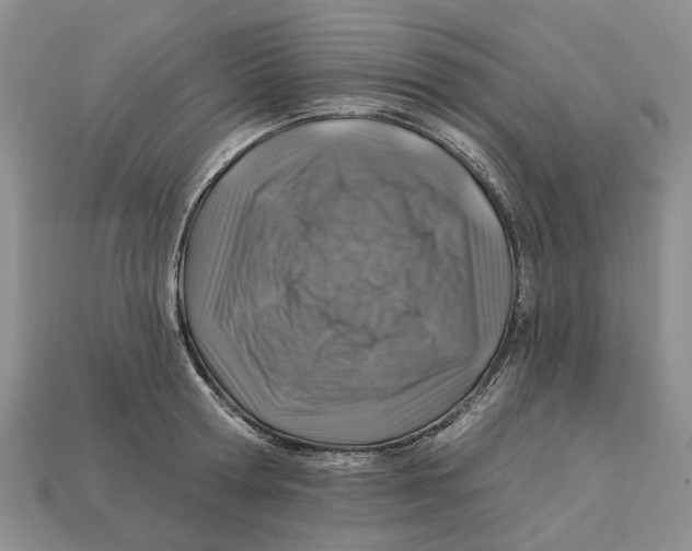 X0000113000802200909241300