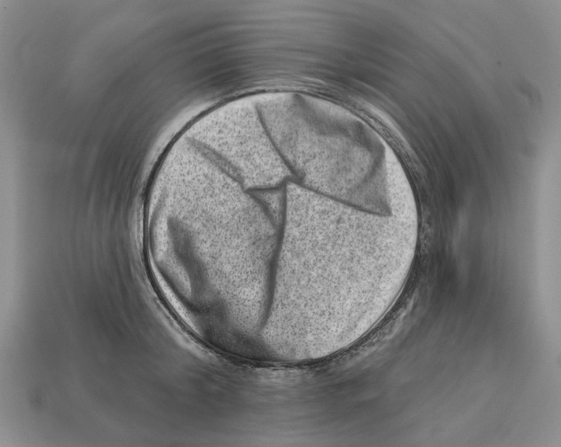 X0000113000804200909241300