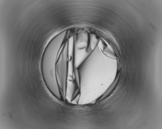 X0000113000805200909241300