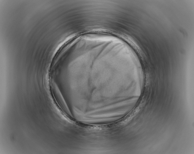 X0000113000806200909241300