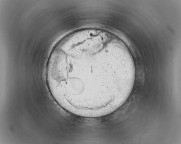 X0000113000807200909241300