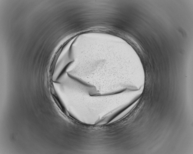 X0000113000808200909241300